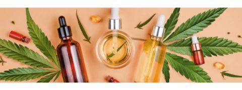 Aktionen entdecken bei Newsletter-Anmeldung