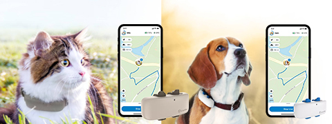 10,00% Rabatt auf alle GPS Tracker