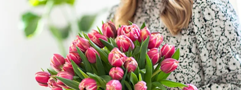 Blumenpracht im Frühling: Tulpen für ein Farbenspiel