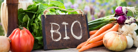 Bis zu 71% Ersparnis auf Bio-Artikel bei Motatos